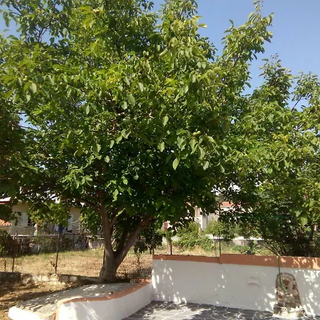 Ralloy Hoyse * 사미