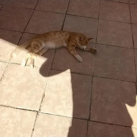 Ralloy Hoyse Sami (Kefalonia)