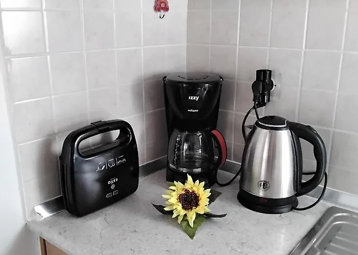 Ralloy Hoyse * سامي