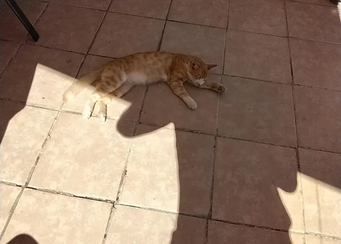 Ralloy Hoyse Sami (Kefalonia)