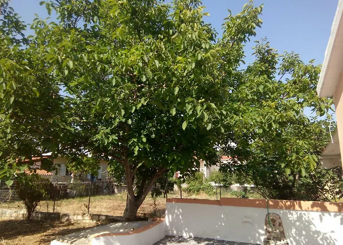 Ralloy Hoyse * سامي